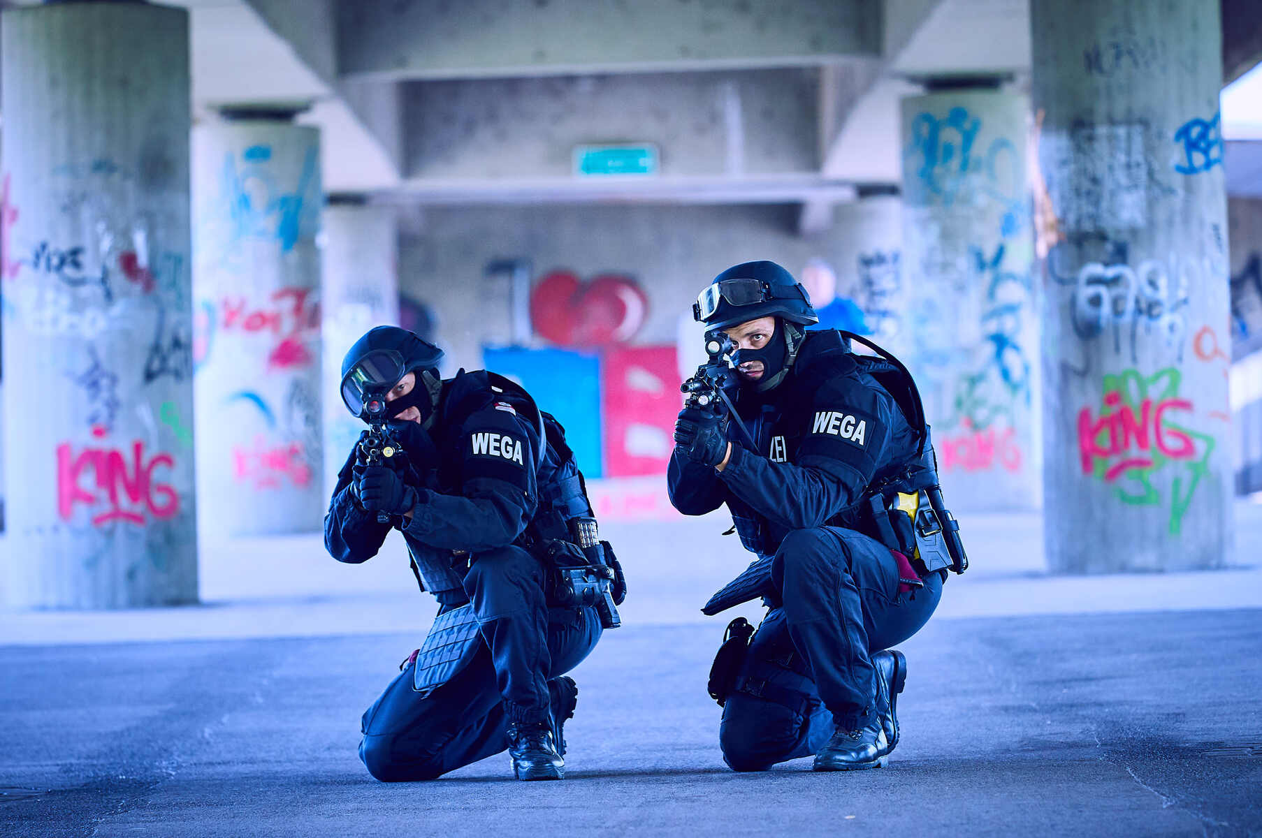 Austrian Police